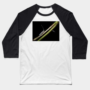 A longhorn beetle (Nyctimenius tristis) Baseball T-Shirt